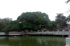 宜宾福州旅游攻略(福州旅游攻略二日游)