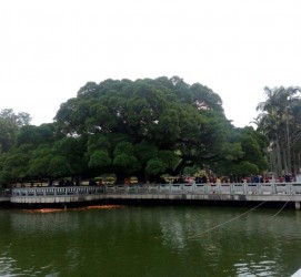 宜宾福州旅游攻略(福州旅游攻略二日游)