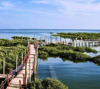 宜宾旅游哪里好玩(云南旅游哪里好玩)