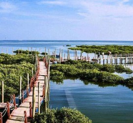 宜宾旅游哪里好玩(云南旅游哪里好玩)