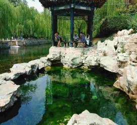 宜宾济南旅游攻略(青岛威海济南旅游攻略)