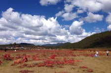 宜宾旅游去处(暑期最好的旅游去处)