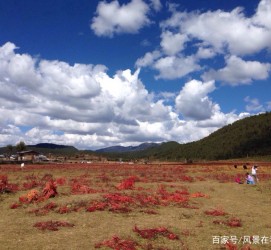 宜宾旅游去处(暑期最好的旅游去处)