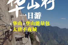 宜宾一日游(一日游需要准备些什么东西?)