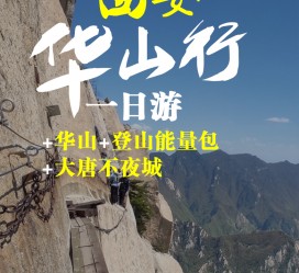 宜宾一日游(一日游需要准备些什么东西?)