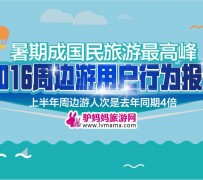 宜宾周边游(周边游哪里有免费好玩的地方)