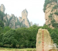 宜宾自驾旅游攻略(自驾旅游攻略app排行榜)
