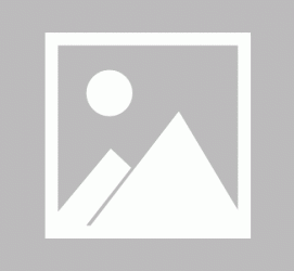 宜宾私人伴游 黄金周里动“黄”经 天津又现“私人陪游”逆流