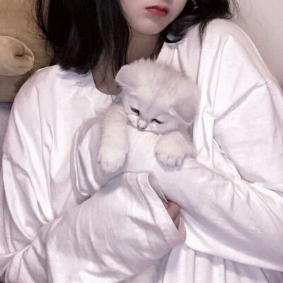 宜宾伴游女生蕾鮑的资料